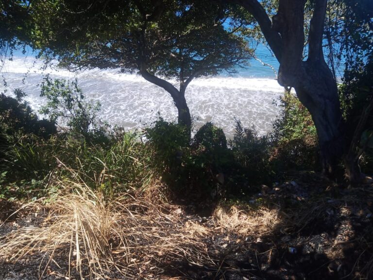 LOT VISTA OCEANA – photo 2