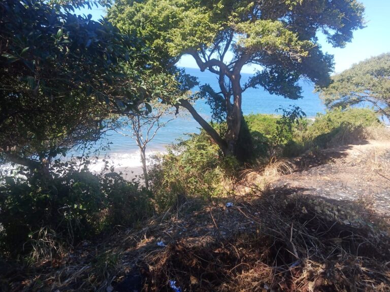 LOT VISTA OCEANA – photo 3