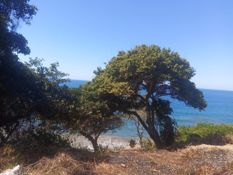 LOT VISTA OCEANA – photo 4