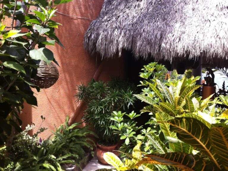 VILLA ESTRELLA – photo 10