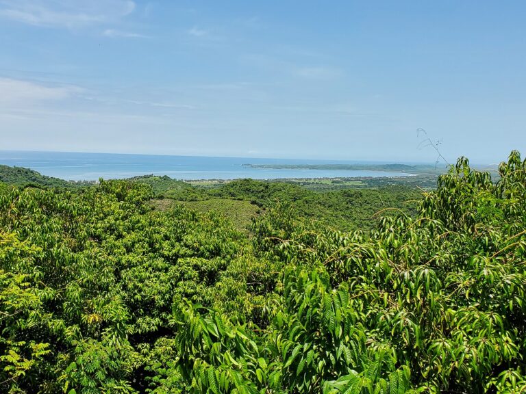 LOT MANGOLANDIA – photo 13