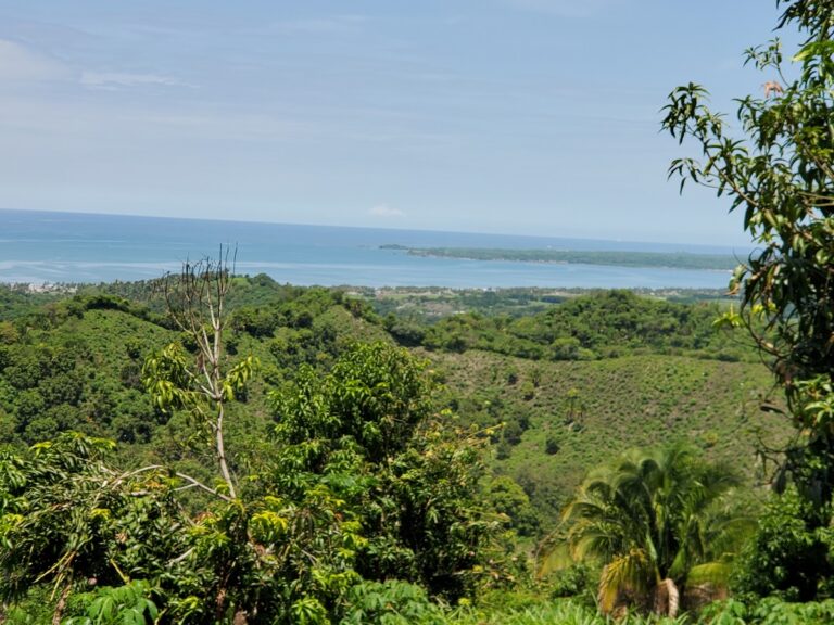 LOT MANGOLANDIA – photo 2