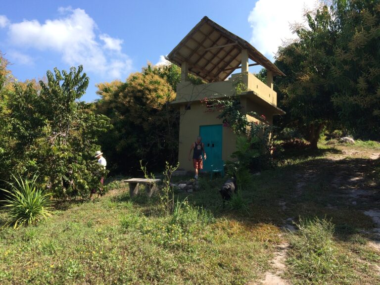 LOT MANGOLANDIA – photo 8