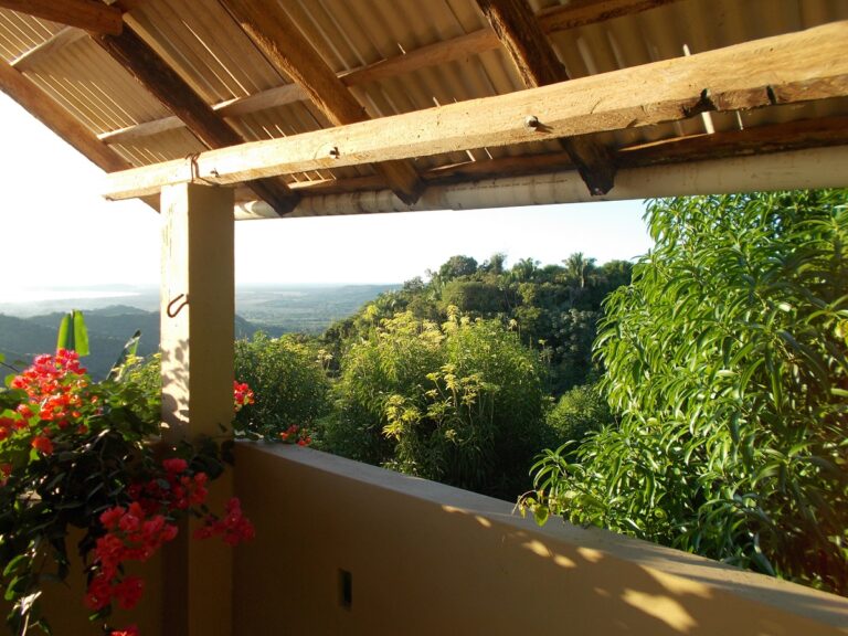 LOT MANGOLANDIA – photo 10