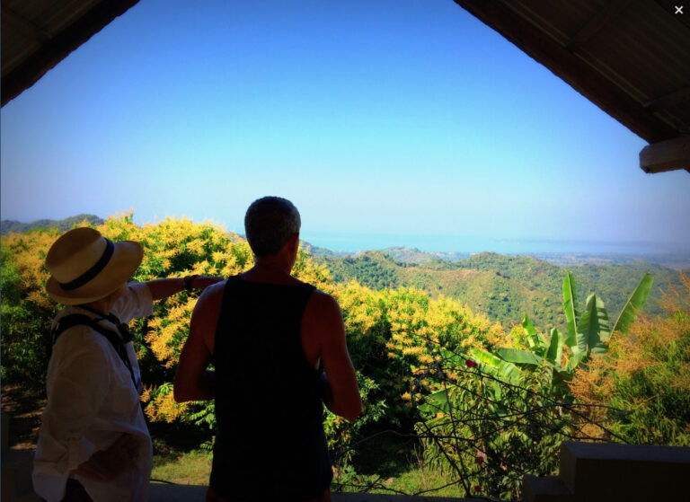 LOT MANGOLANDIA – photo 11