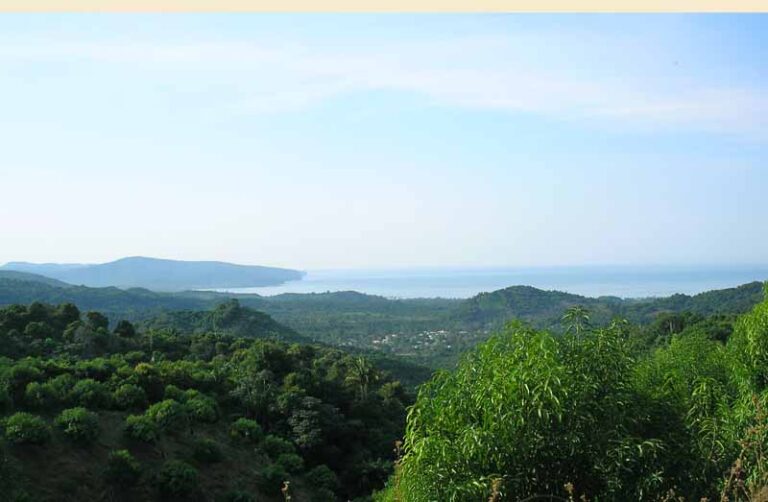 LOT MANGOLANDIA – photo 5