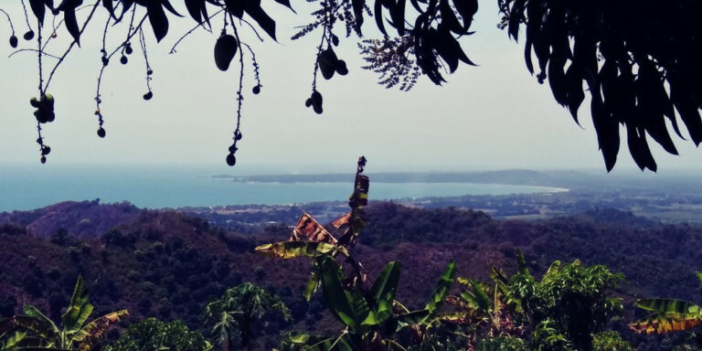LOT MANGOLANDIA – photo 6