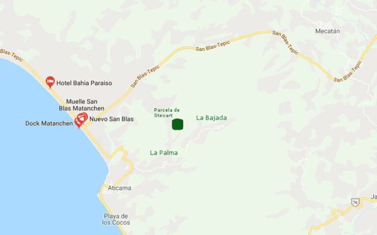 LOT MANGOLANDIA – photo 7