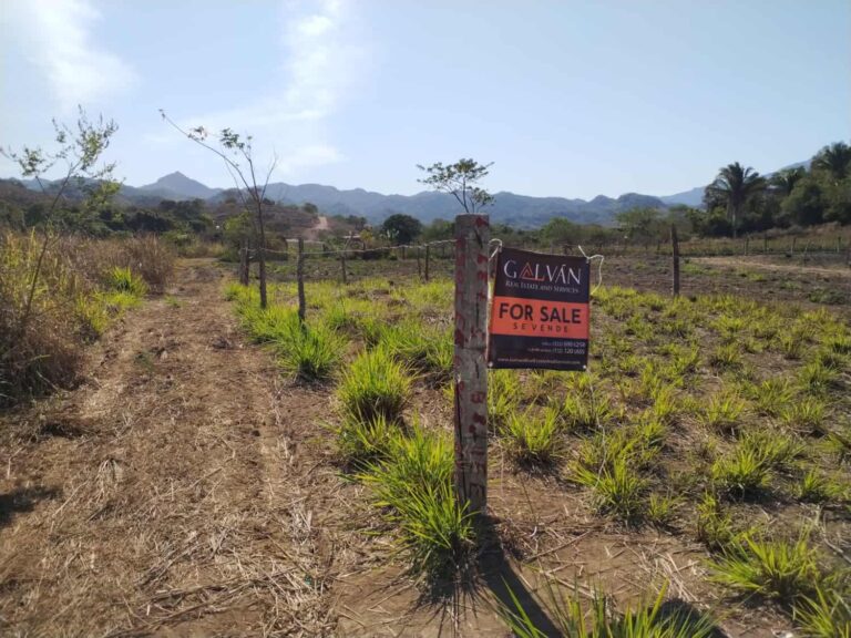 LOTE JEFTE – photo 4