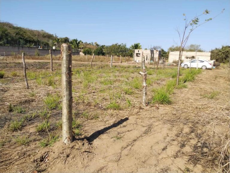 LOTE JEFTE – photo 2