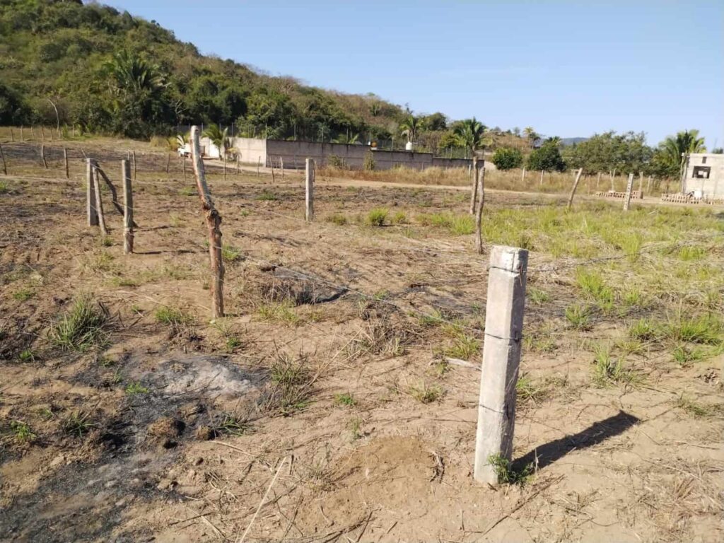 LOTE JEFTE – photo 1
