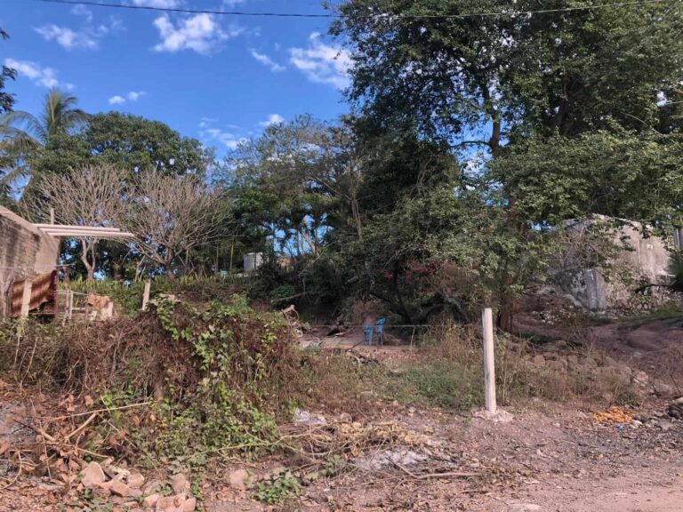 LOT ALFREDO – photo 7