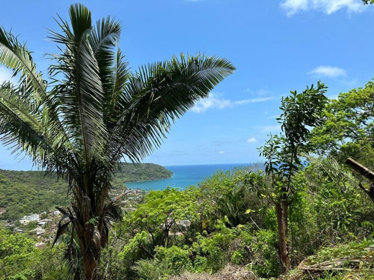 LOT VISTA BELLA – photo 5