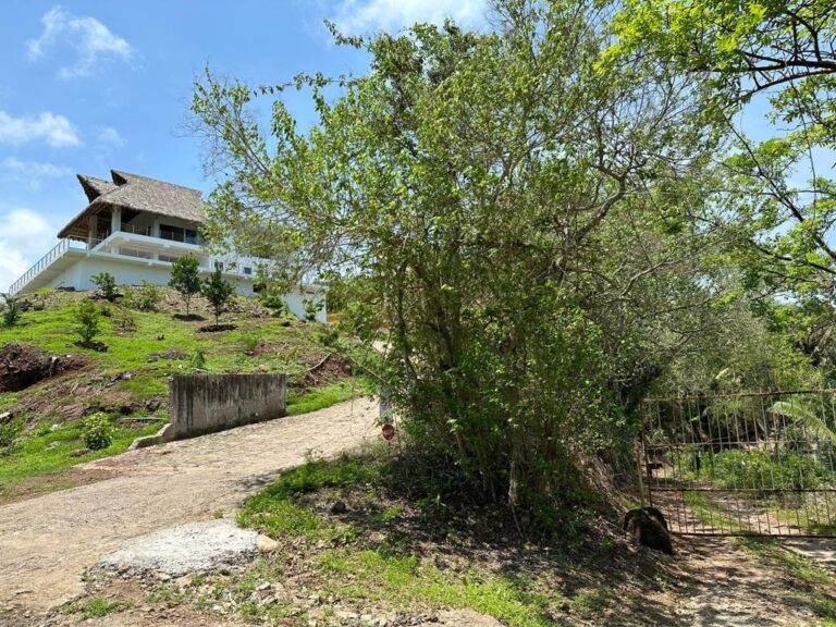 LOT VISTA BELLA – photo 2
