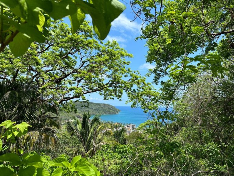 LOT VISTA BELLA – photo 4
