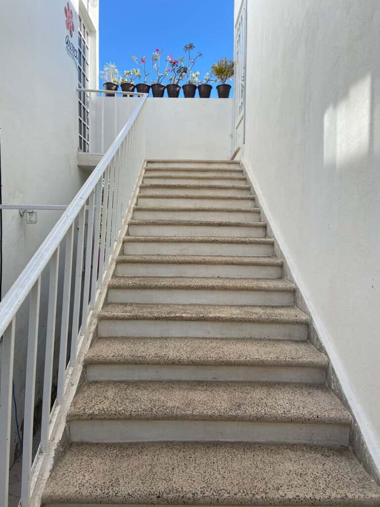 CASA BLANCA – photo 17