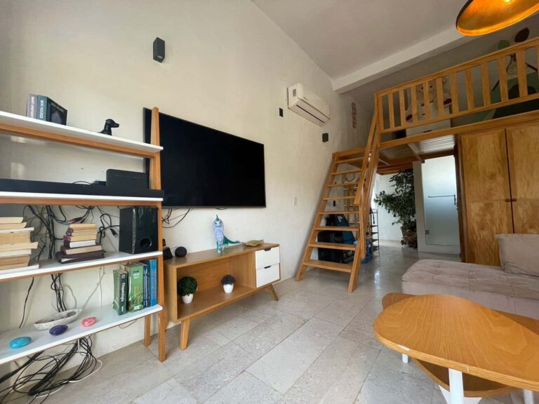 CASA BLANCA – photo 4