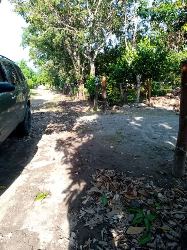 LOTE LA PALMA – photo 4
