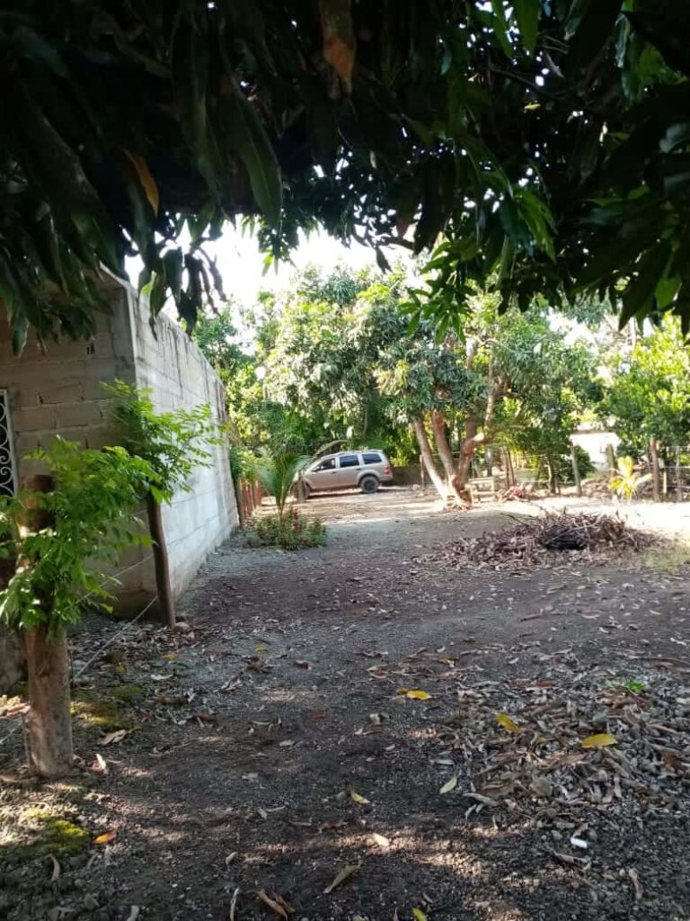 LOTE LA PALMA – photo 2