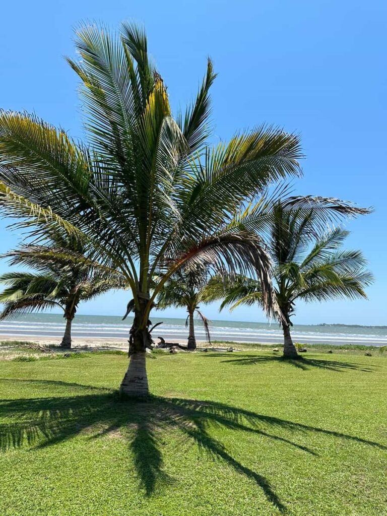 LOT LA JOYA PLAYA MATANCHEN – photo 4