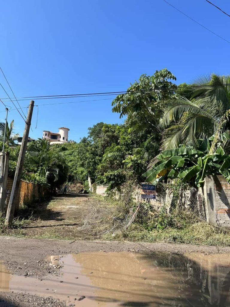 LOTE SANDOVAL – photo 5