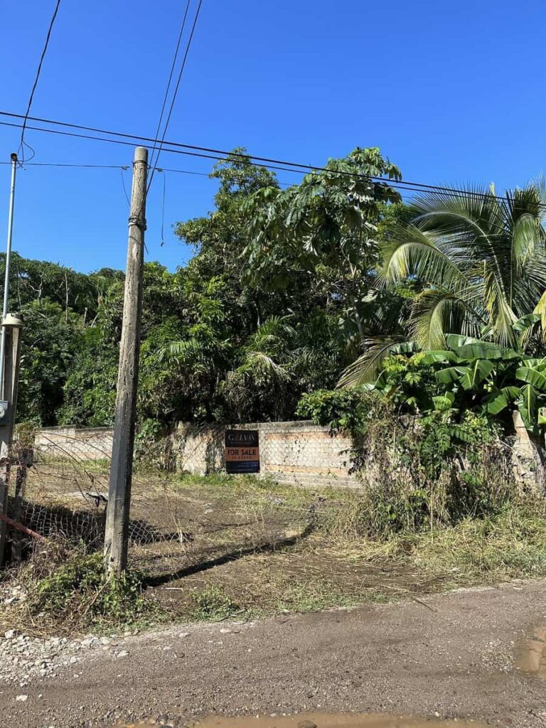 LOTE SANDOVAL – photo 3