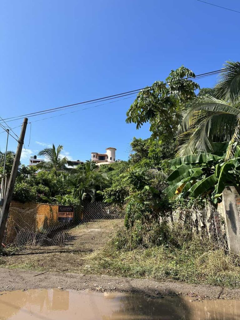 LOTE SANDOVAL – photo 6