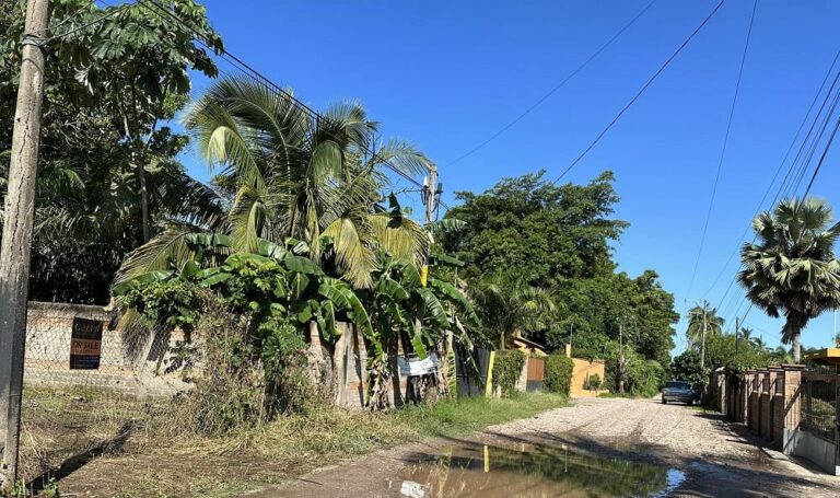 LOTE SANDOVAL – photo 4