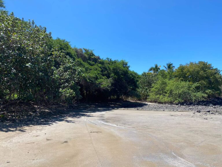 LOT PALOMERA – photo 2