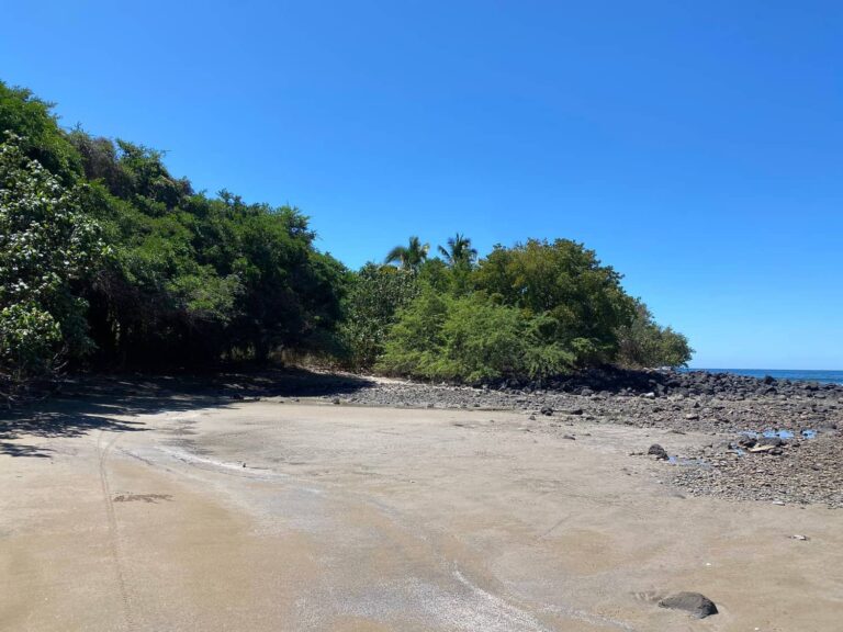 LOT PALOMERA – photo 3