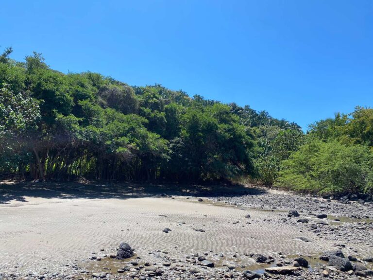 LOT PALOMERA – photo 4