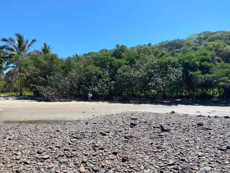 LOT PALOMERA – photo 6