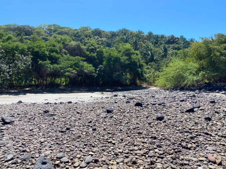LOT PALOMERA – photo 7