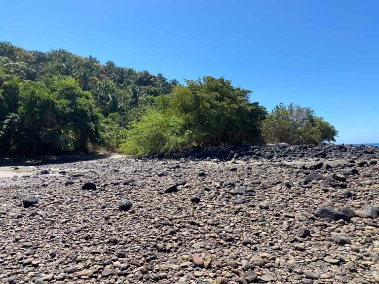LOT PALOMERA – photo 8