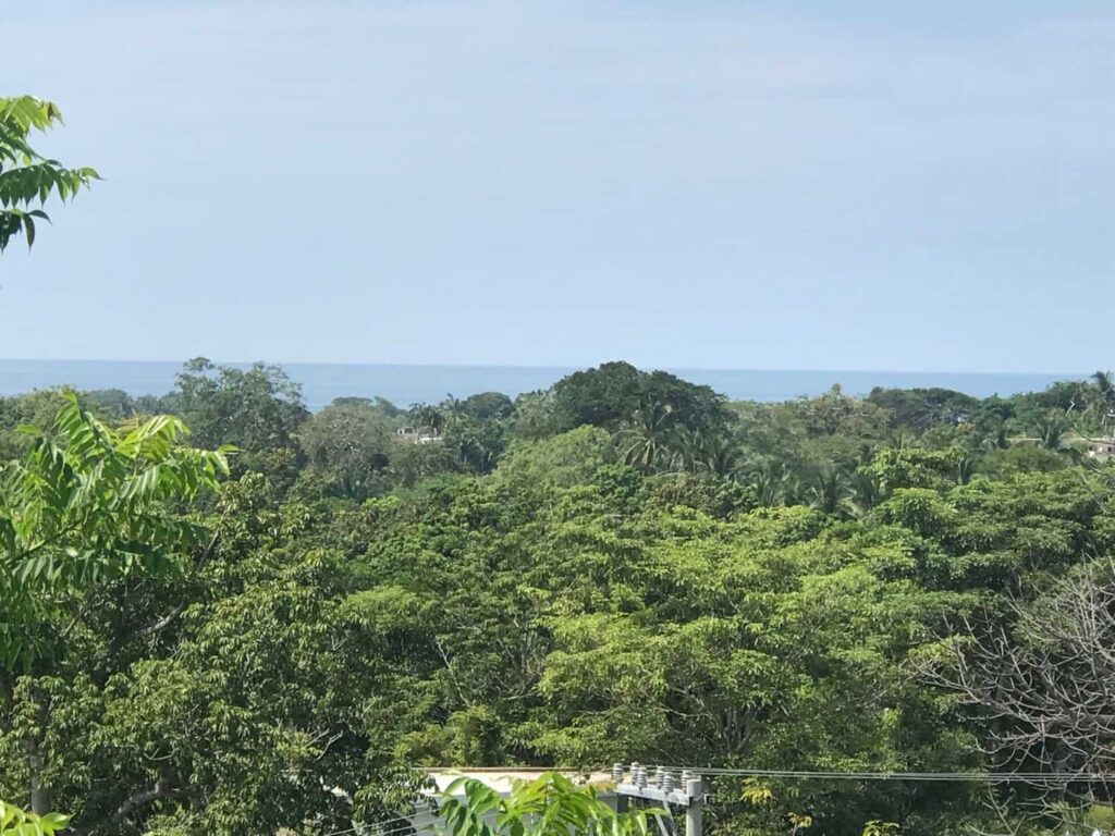 LOTE VISTA BONITA/LA PALMA – photo 1