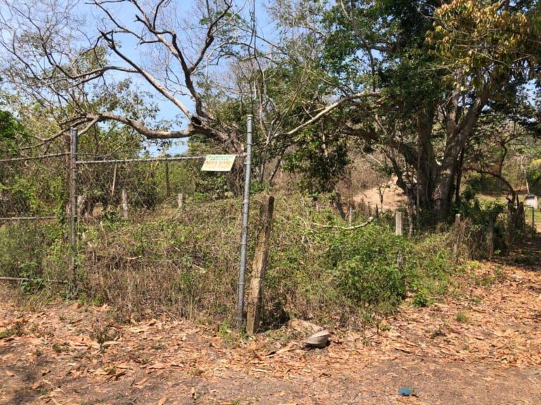 LOT UNIVERSIDAD – photo 3