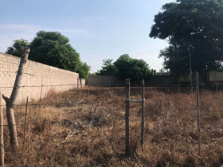 LOTE BELLA – photo 5