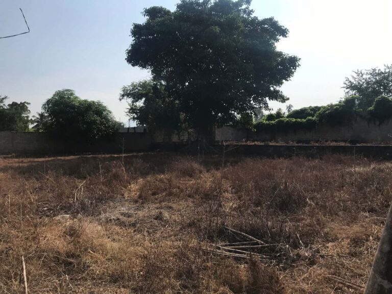 LOTE BELLA – photo 6