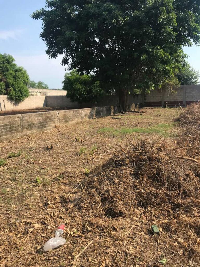 LOTE BELLA – photo 2