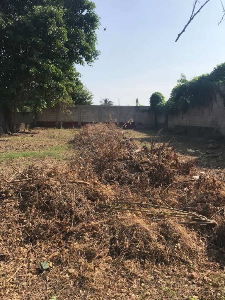 LOTE BELLA – photo 3