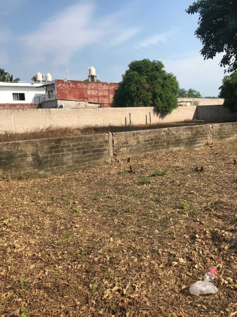 LOTE BELLA – photo 4