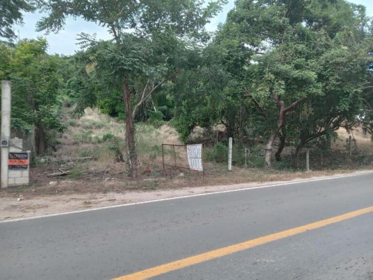 LOTE MUNOZ – photo 8