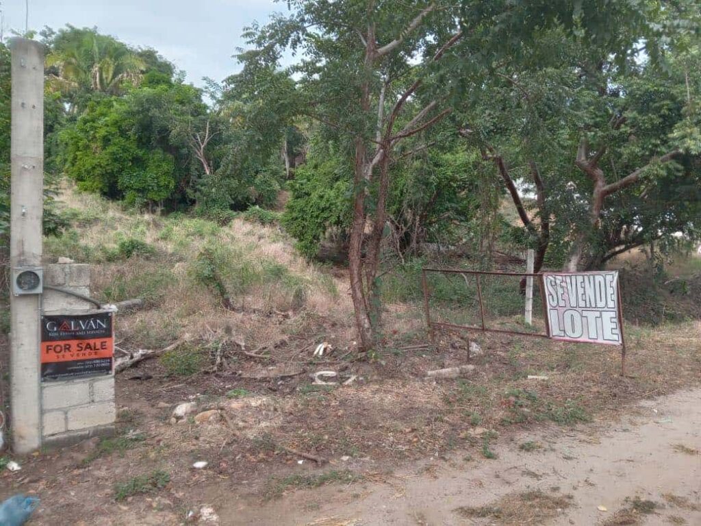 LOTE MUNOZ – photo 1