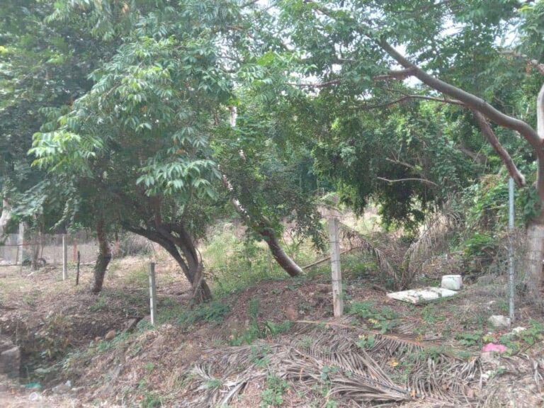 LOTE MUNOZ – photo 2