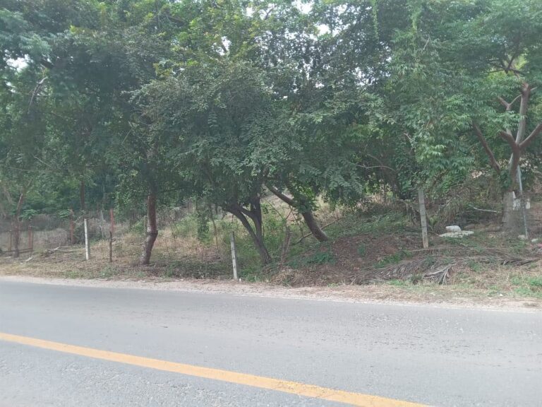 LOTE MUNOZ – photo 3