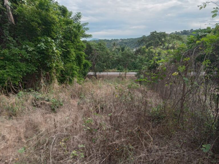 LOTE MUNOZ – photo 4