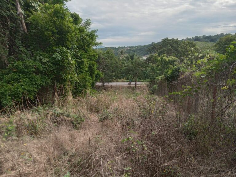 LOTE MUNOZ – photo 5