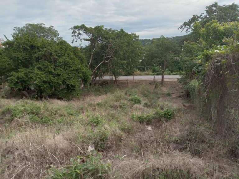 LOTE MUNOZ – photo 6