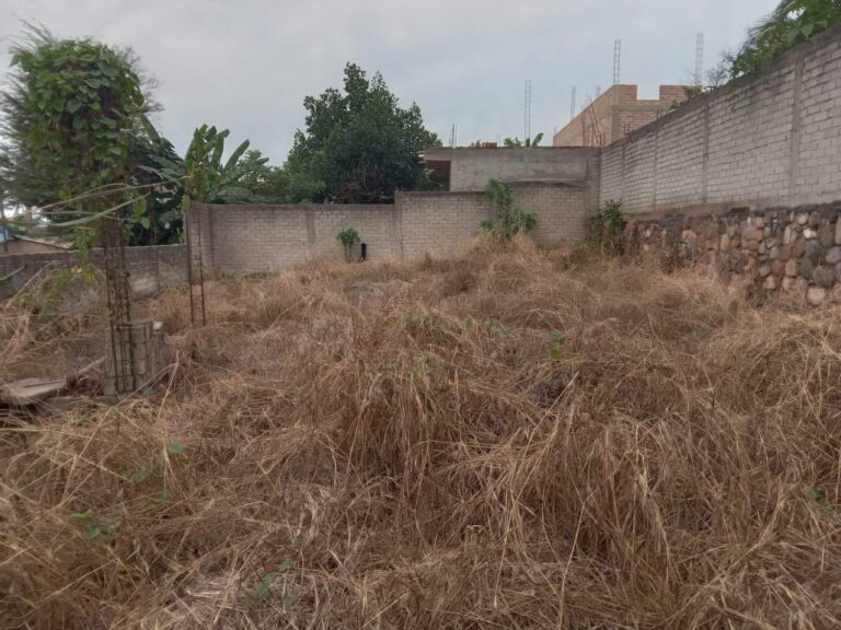 LOTE PORTON NEGRO – photo 5