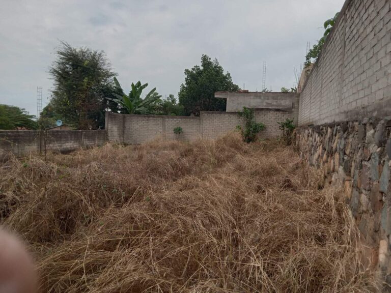 LOTE PORTON NEGRO – photo 4